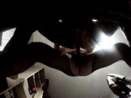 Anal Police Stories